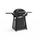 AUS Q3100 - Black-right