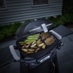 Family Q Grill n Go Light 5