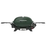 Q2800N+ Bushland Green 1