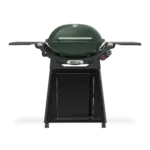 Q3200N+ Bushland Green 1