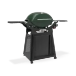 Q3200N+ Bushland Green 2