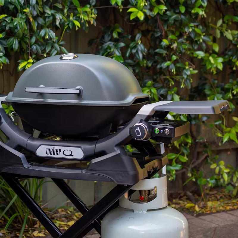Weber Flame iQ Q1X00N 4