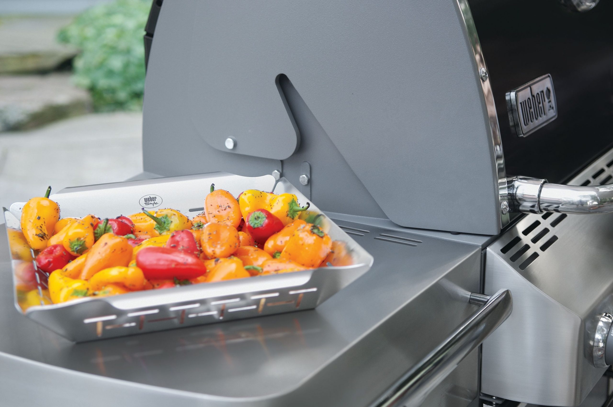 stainless-steel-vege-basket-2-1-scaled-1